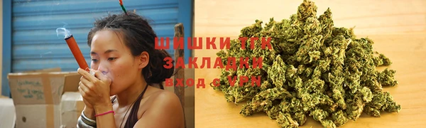 мяу мяу кристалл Иннополис