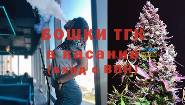 мяу мяу кристалл Иннополис