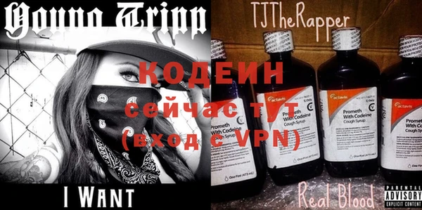 a pvp Инта