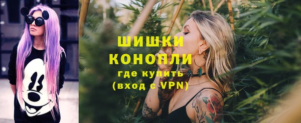ГАЛЛЮЦИНОГЕННЫЕ ГРИБЫ Инсар