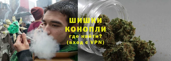 ГАЛЛЮЦИНОГЕННЫЕ ГРИБЫ Инсар