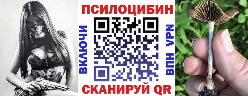 Купить закладки  Верхний Тагил  Псилоцибиновые грибы ЛСД 